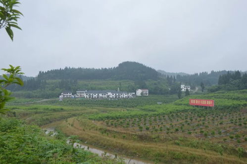 嘉陵鄉(xiāng)村旅游精品線出爐，快來尋覓你的故鄉(xiāng)記憶