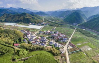 桐廬鄉(xiāng)村旅游產(chǎn)品集結(jié)號(hào) 探秘山水間的愜意好物